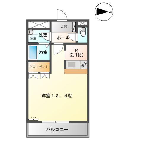 サイネリア丸美(1K/1階)の間取り写真