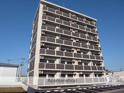 APOLLO菊陽