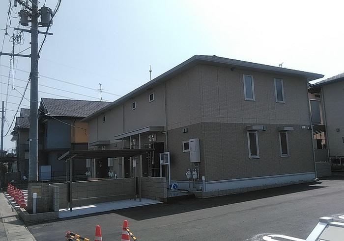 セイラブロッサム