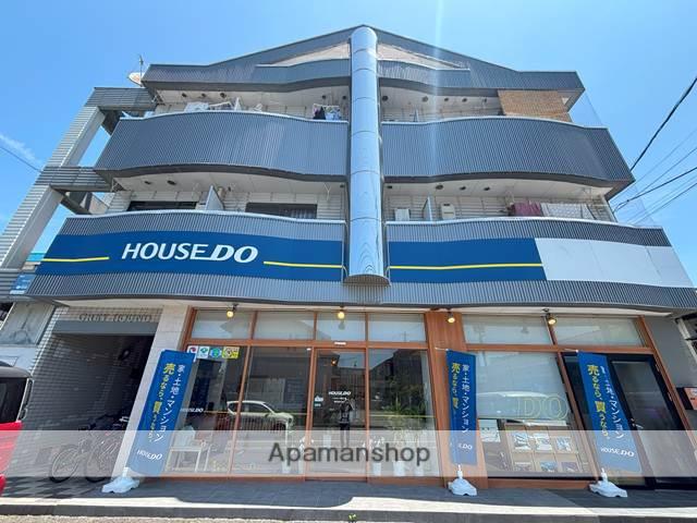 グレイハウンド