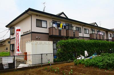 ドリームシャトーⅡ