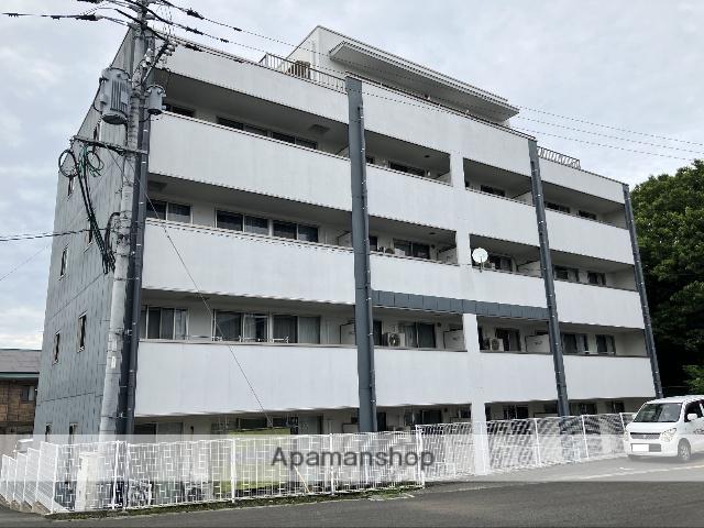 チェリーブロッサムⅢ