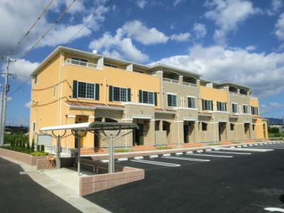 ニュー・ガジュマル