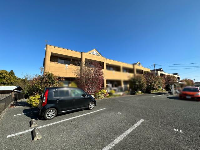 サニーコンフォース