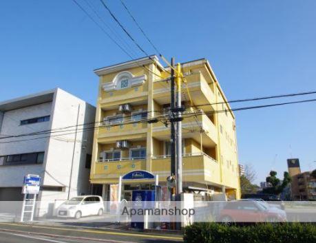 エリーナ新屋敷(1K/3階)