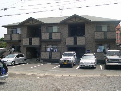 ウィルモア世安