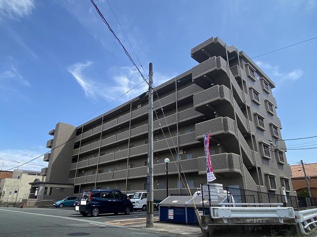 コーポラスフラワー