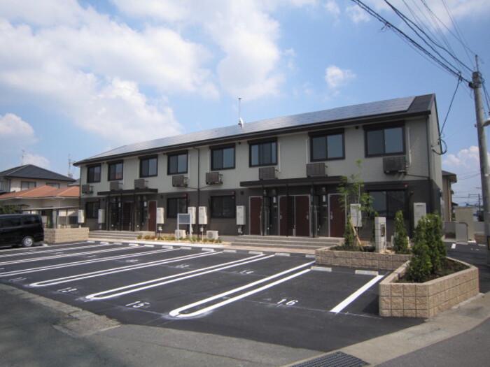 グランヴィア樹