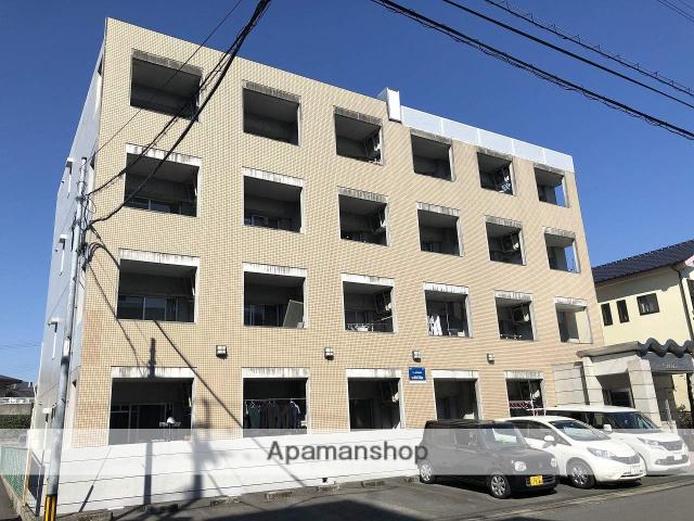 マーカス新大江