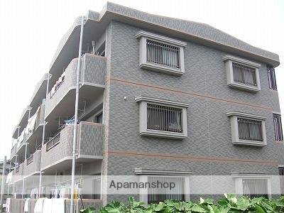 ロイヤルシティプラトン