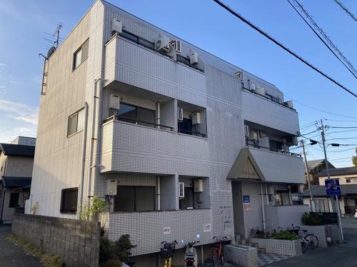 ドルミール黒髪