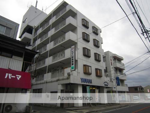 ホワイトキャッスル田崎(2DK/4階)