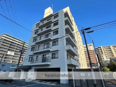 スカイハイツ新町(3LDK/9階)