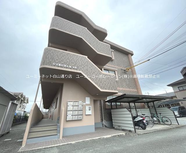 CIRUELA須屋