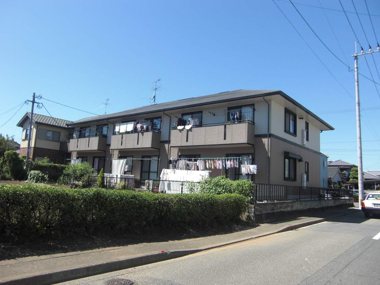 ハイカムール花立