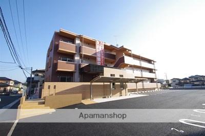 SPRING長嶺南(2LDK/1階)