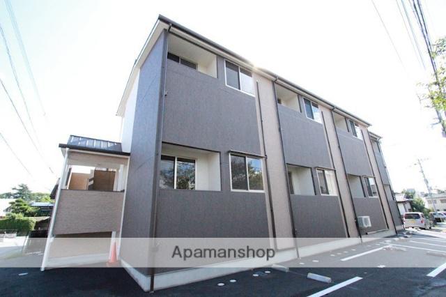 ルラーシュ渡鹿