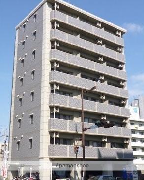ステラ白山