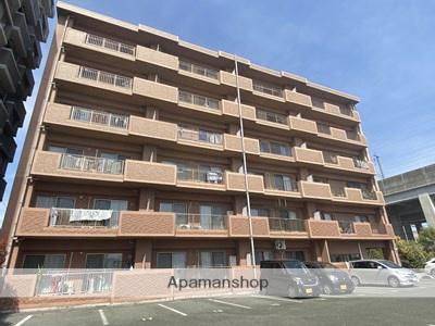 ソリテール花園