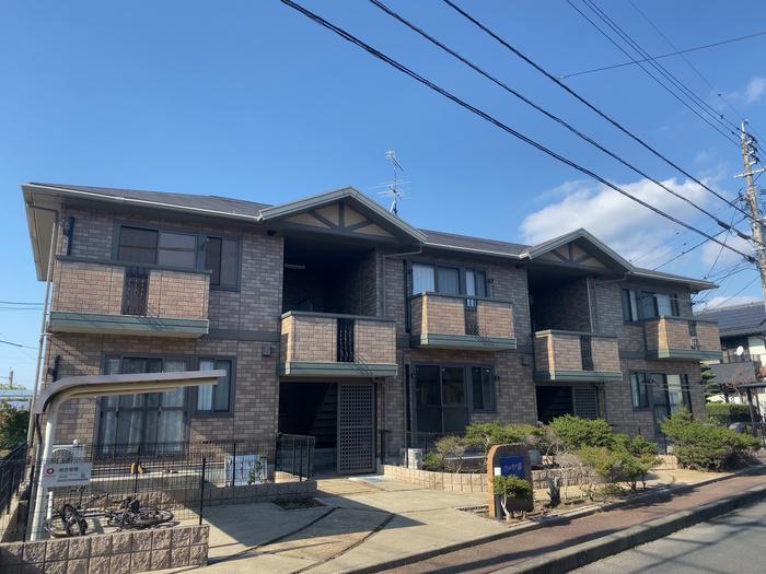 ウィルモア藤(1LDK/1階)