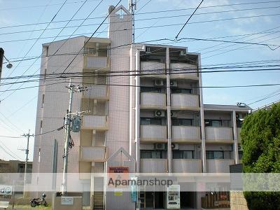 アンビシャス月出