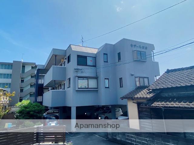 セザール田迎