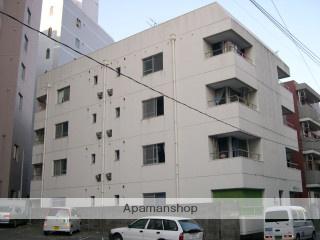 城南マンション(1DK/3階)