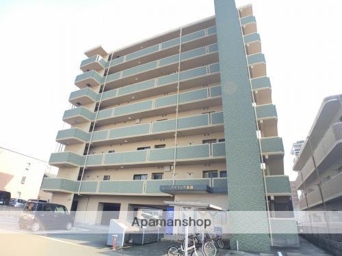 アマランツ菊陽