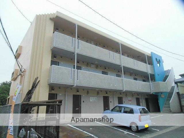 オリエンタル黒髪