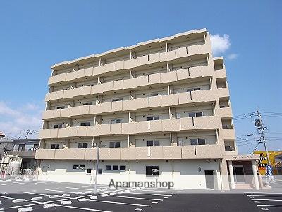 プラトゥー光の森