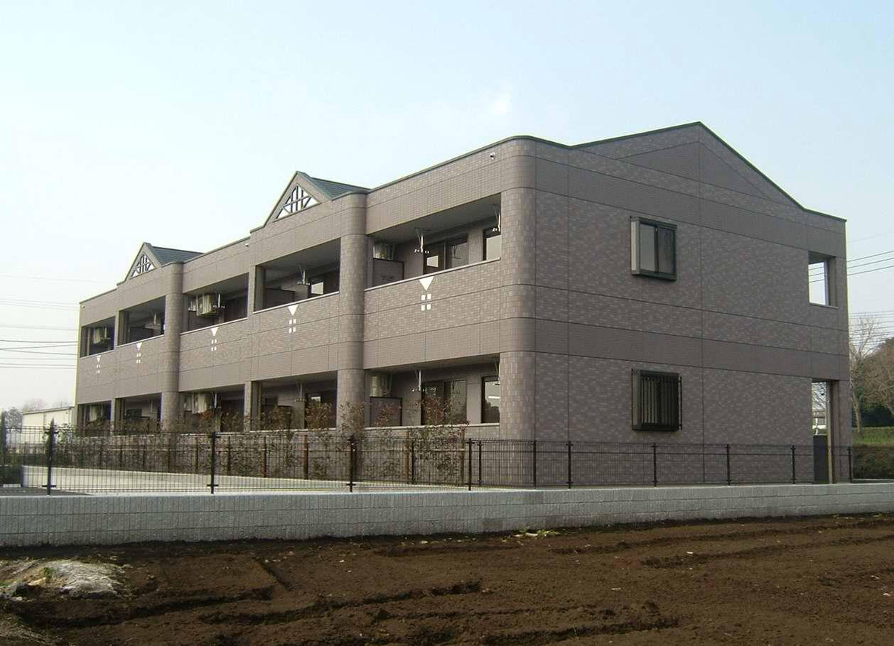 グレイスイサキ