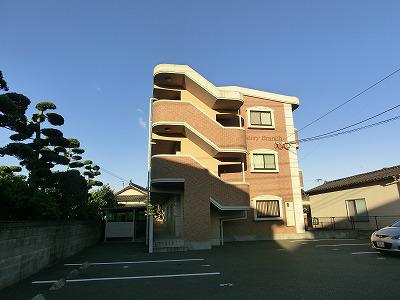 チェリーブランチ