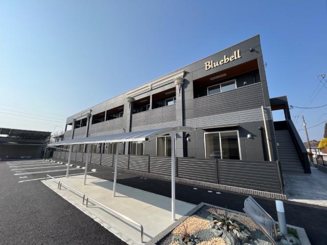 BLUEBELL 杉水