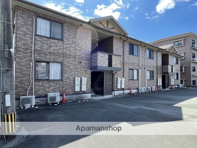 ウィルモア池田