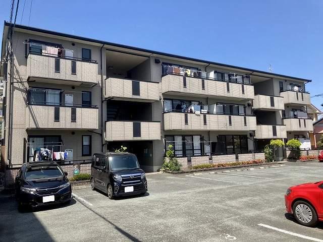 グレイスコート