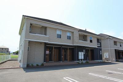 プリマヴェーラ葵 T