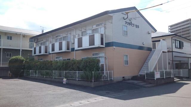 アクティブ セキ