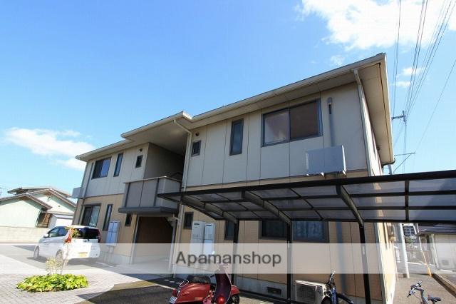 ディアスメディオD