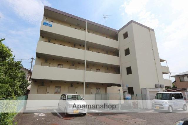 サザンブライト