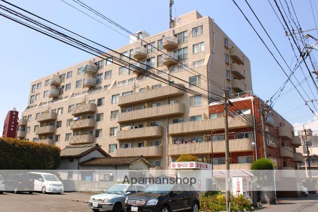 スカイコート大手町(1SLDK/5階)
