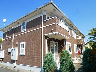 エバーグリーン木上