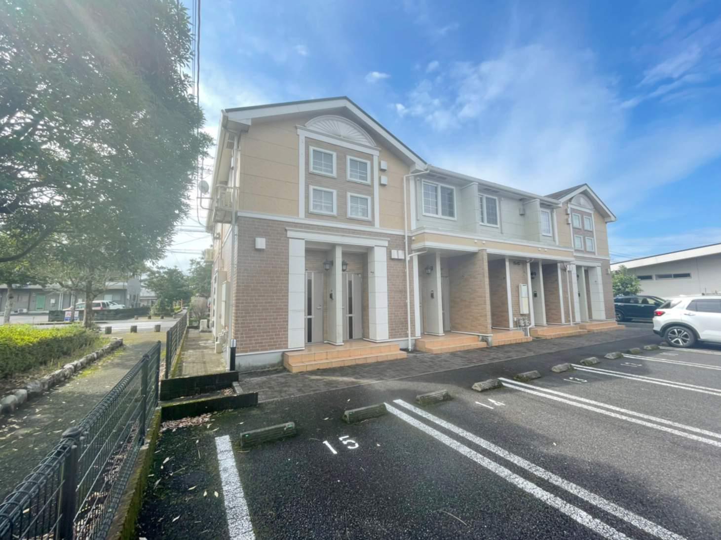 ロング シーダー D