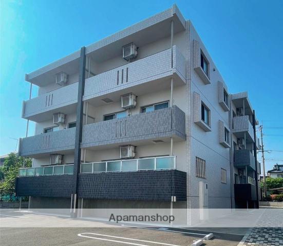 グレイスルピナス