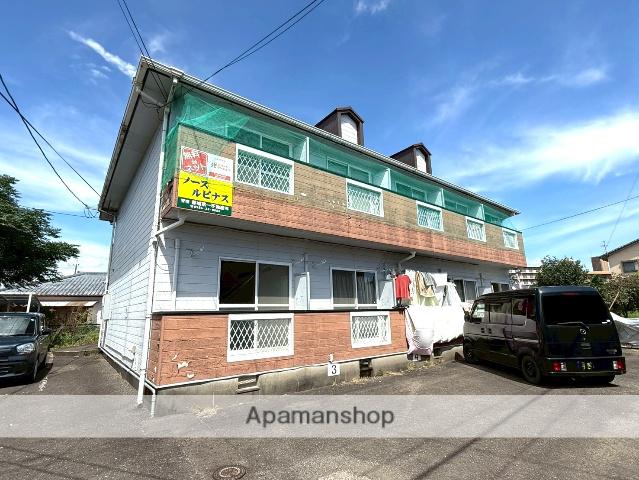 ノースルピナス