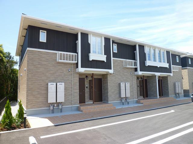 オスズビュー C