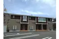 カメリア