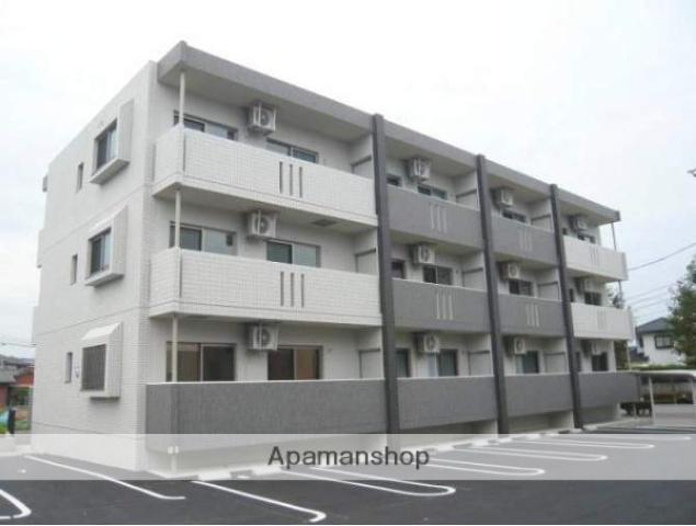 エバーグリーン