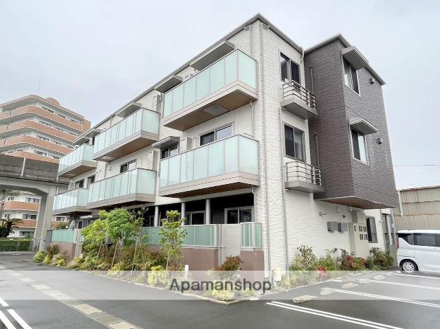 アンビエラ柳丸