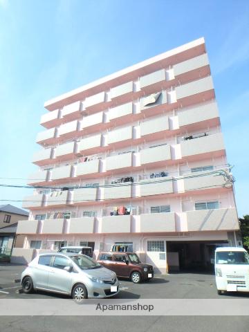 エレガンスメゾン6