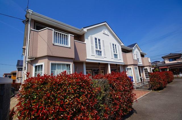 ピュアドリームⅡ